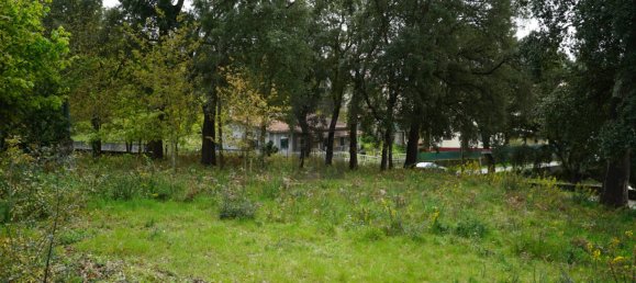 Terreno em Macieira de Cambra, Portugal N.º 167952 12