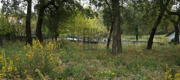Terreno em Macieira de Cambra, Portugal N.º 167952 3