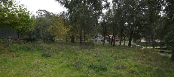 Terreno em Macieira de Cambra, Portugal N.º 167952 9