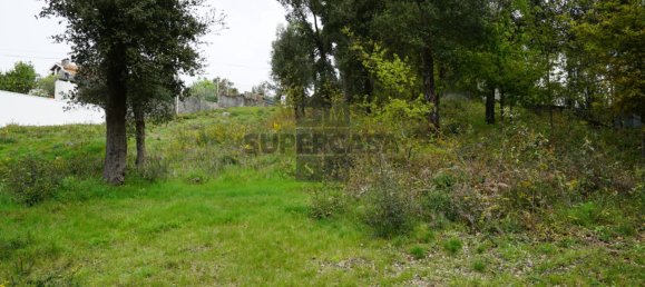 Terreno em Macieira de Cambra, Portugal N.º 167952 8