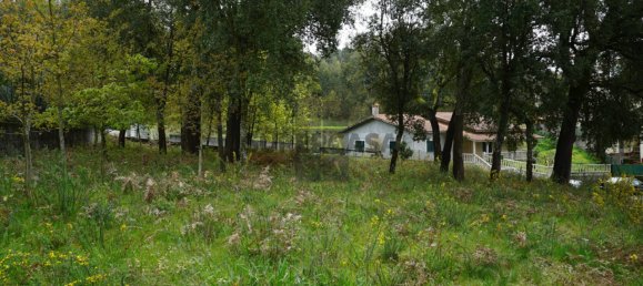 Terreno em Macieira de Cambra, Portugal N.º 167952 7
