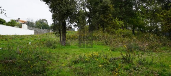Terreno em Macieira de Cambra, Portugal N.º 167952 19