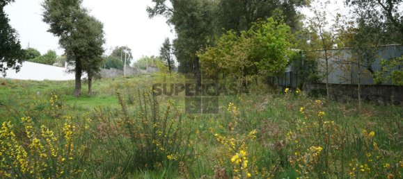 Terreno em Macieira de Cambra, Portugal N.º 167952 5