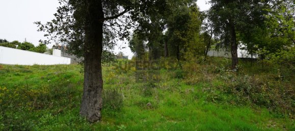 Terreno em Macieira de Cambra, Portugal N.º 167952 10