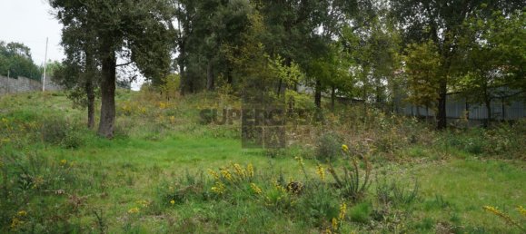 Terreno em Macieira de Cambra, Portugal N.º 167952 6