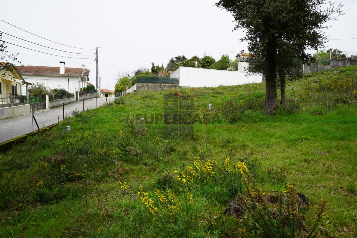 Terreno em Macieira de Cambra, Portugal N.º 167952