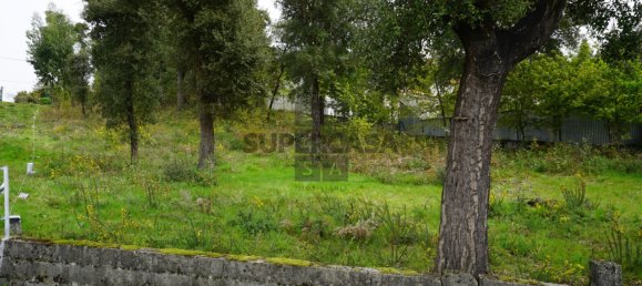 Terreno em Macieira de Cambra, Portugal N.º 167952 16