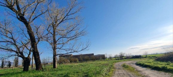12 rooms House in Castelnuovo Scrivia, Italy No. 168501 20