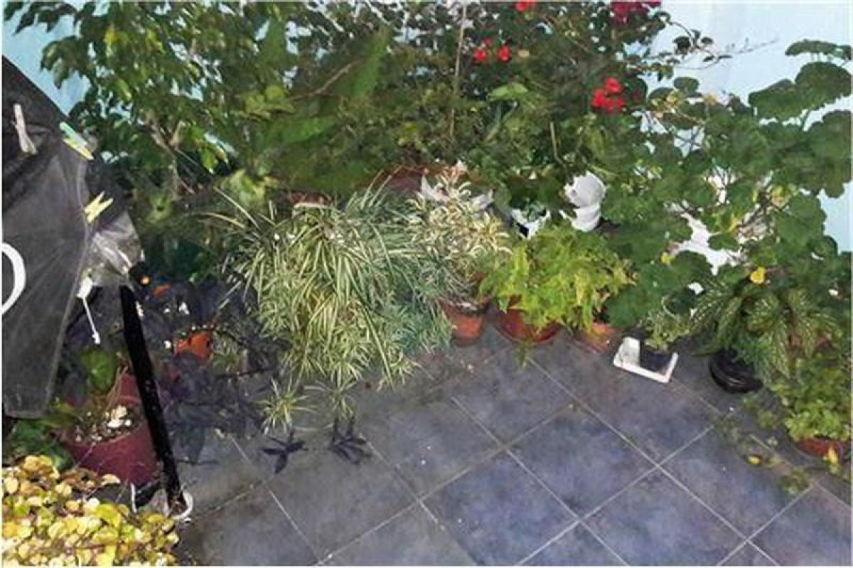 Studio in Buenos Aires, Argentina, Nr. 77001