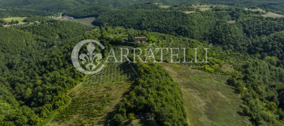 7 Schlafzimmer Grundstück in Città della Pieve, Italy, Nr. 329314 32