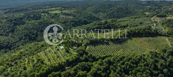 7 Schlafzimmer Grundstück in Città della Pieve, Italy, Nr. 329314 42