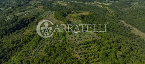 7 Schlafzimmer Grundstück in Città della Pieve, Italy, Nr. 329314 41