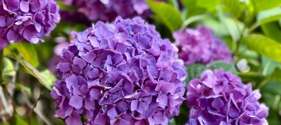 3 chambres Maison de ville à Nordfriesland, Germany No. 246356 5