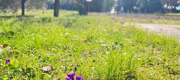 6 rooms House in Trevi, Italy No. 146052 5