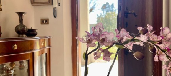 6 rooms House in Trevi, Italy No. 146052 6