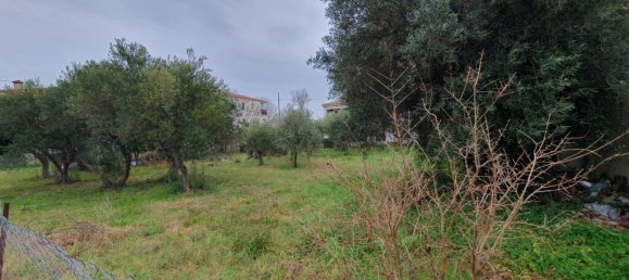 Отель, гостиница 1000м² в Эвбея, Греция № 3255 4