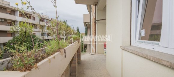 3 rooms Apartment in Cesena, Italy No. 258482 10