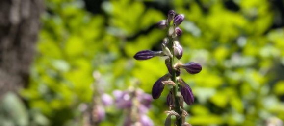 4 rooms Apartment in Favoriten, Austria No. 205807 13