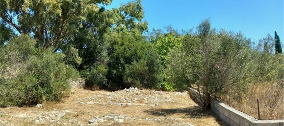 Studio in Tricase, Italy No. 309062 6