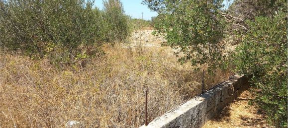 Studio in Tricase, Italy No. 309062 10