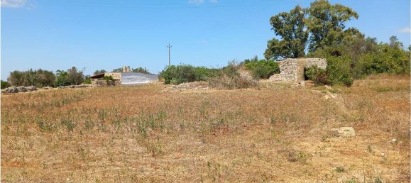 Studio in Tricase, Italy No. 309062 13