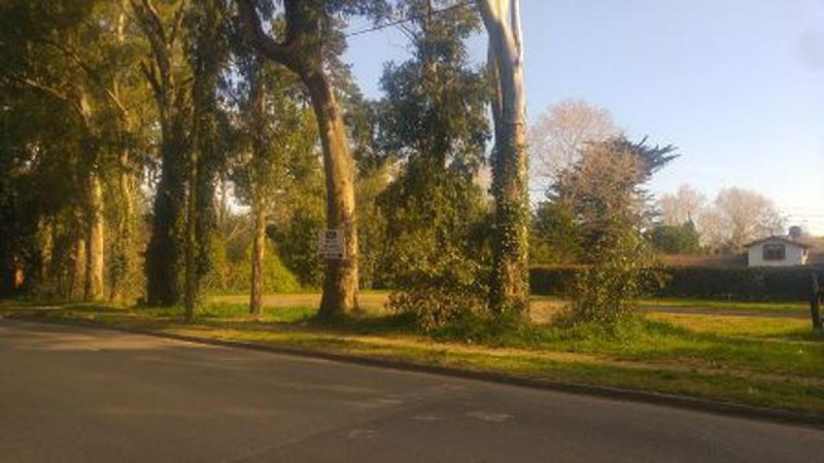  Land in Mar del Plata, Argentina No. 116358