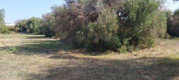Земельный участок 635м² в Маруджо, Италия № 79131 6