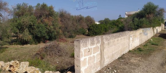 Земельный участок 635м² в Маруджо, Италия № 79131 7