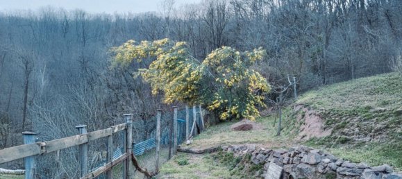 2 Schlafzimmer Haus in Grignasco, Italy, Nr. 377486 9