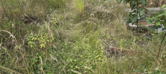 4-salle Maison de ville à Anhalt-Bitterfeld, Germany No. 286077 7