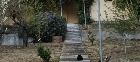 Villa T3 em San Francesco al Campo, Italy N.º 329476 2