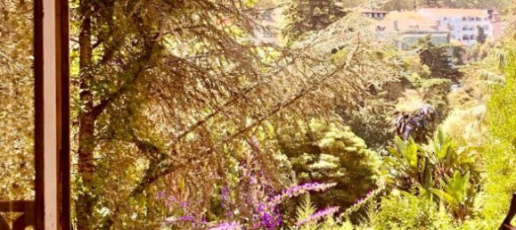 Casa de 9 dormitorios en Sintra, Portugal No. 141767 39