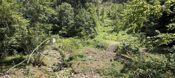 Terreno en Gotzis, Austria No. 144142 15