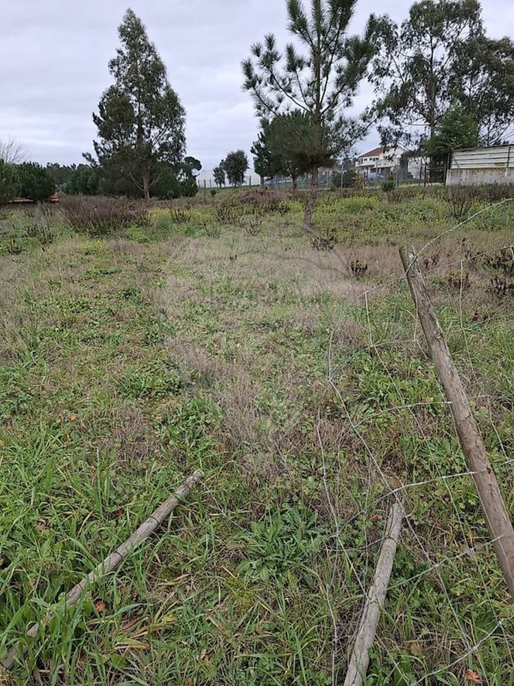 Terreno en Santarem, Portugal No. 353630