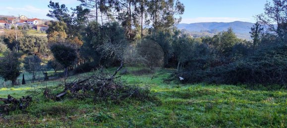 Casa de 3 dormitorios en Ansiao, Portugal No. 23090 18