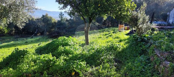 Casa de 3 dormitorios en Ansiao, Portugal No. 23090 21