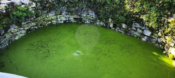 Casa de 3 dormitorios en Ansiao, Portugal No. 23090 15