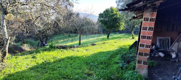 Casa de 3 dormitorios en Ansiao, Portugal No. 23090 20