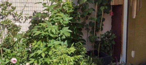 2 bedrooms Townhouse in Saale-Orla, Germany No. 266850 5