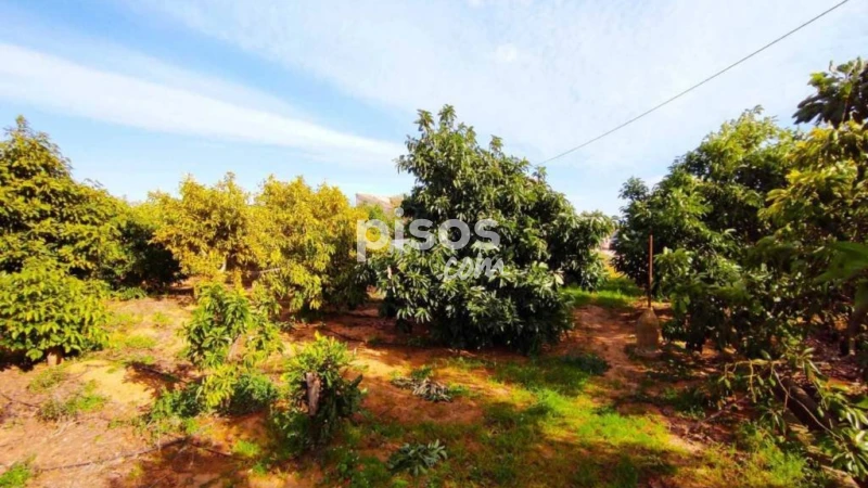  Commercial property in Corbera, Spain No. 137210