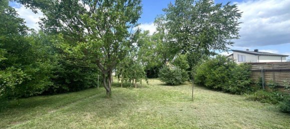 3 rooms Land in Ganserndorf, Austria No. 133586 5