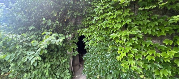 3 rooms Land in Ganserndorf, Austria No. 133586 9