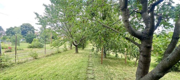 3 rooms Land in Ganserndorf, Austria No. 133586 7