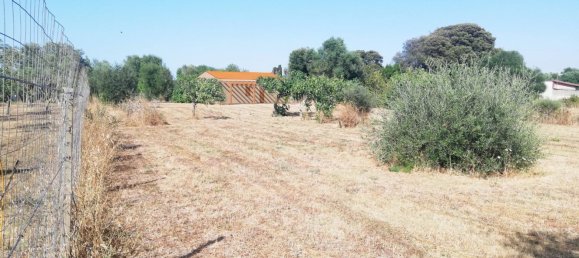 6300m² Land in Sassari, Italy No. 301451 2