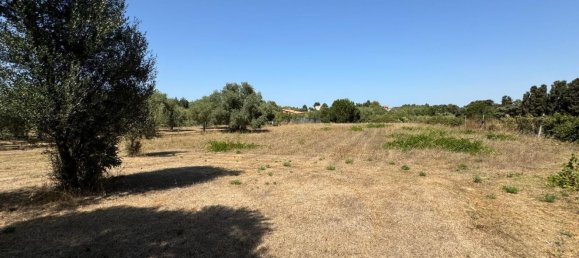6300m² Land in Sassari, Italy No. 301451 10