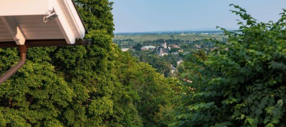 4 bedrooms Villa in Baden, Austria No. 193666 42