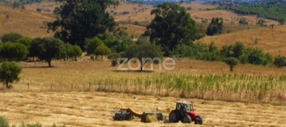 4 Schlafzimmer Haus in Portel, Portugal, Nr. 14321 4