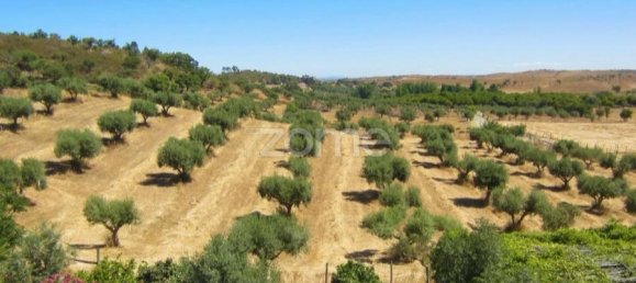 4 Schlafzimmer Haus in Portel, Portugal, Nr. 14321 5