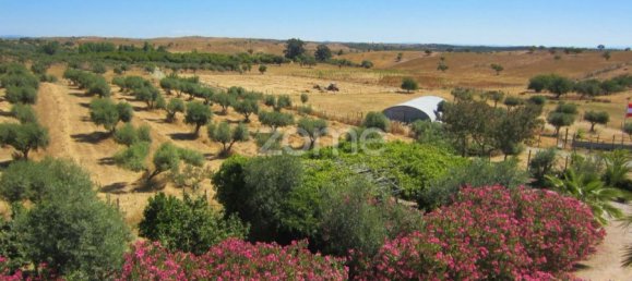 4 Schlafzimmer Haus in Portel, Portugal, Nr. 14321 6