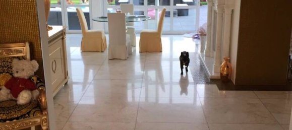 5 Schlafzimmer Villa in Düsseldorf, Germany, Nr. 88843 10